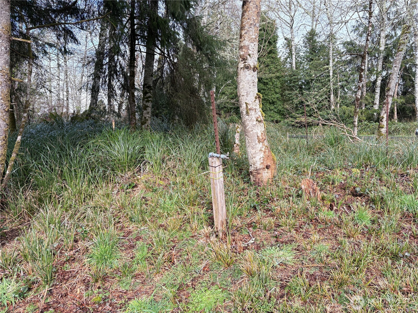 681 Duck Lake Drive NE Ocean Shores WA 98569