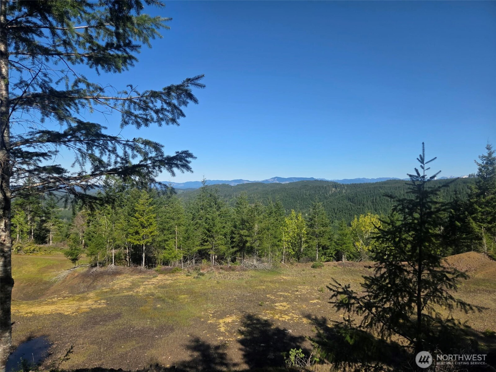 7241 W Cloquallum Road Shelton WA 98584