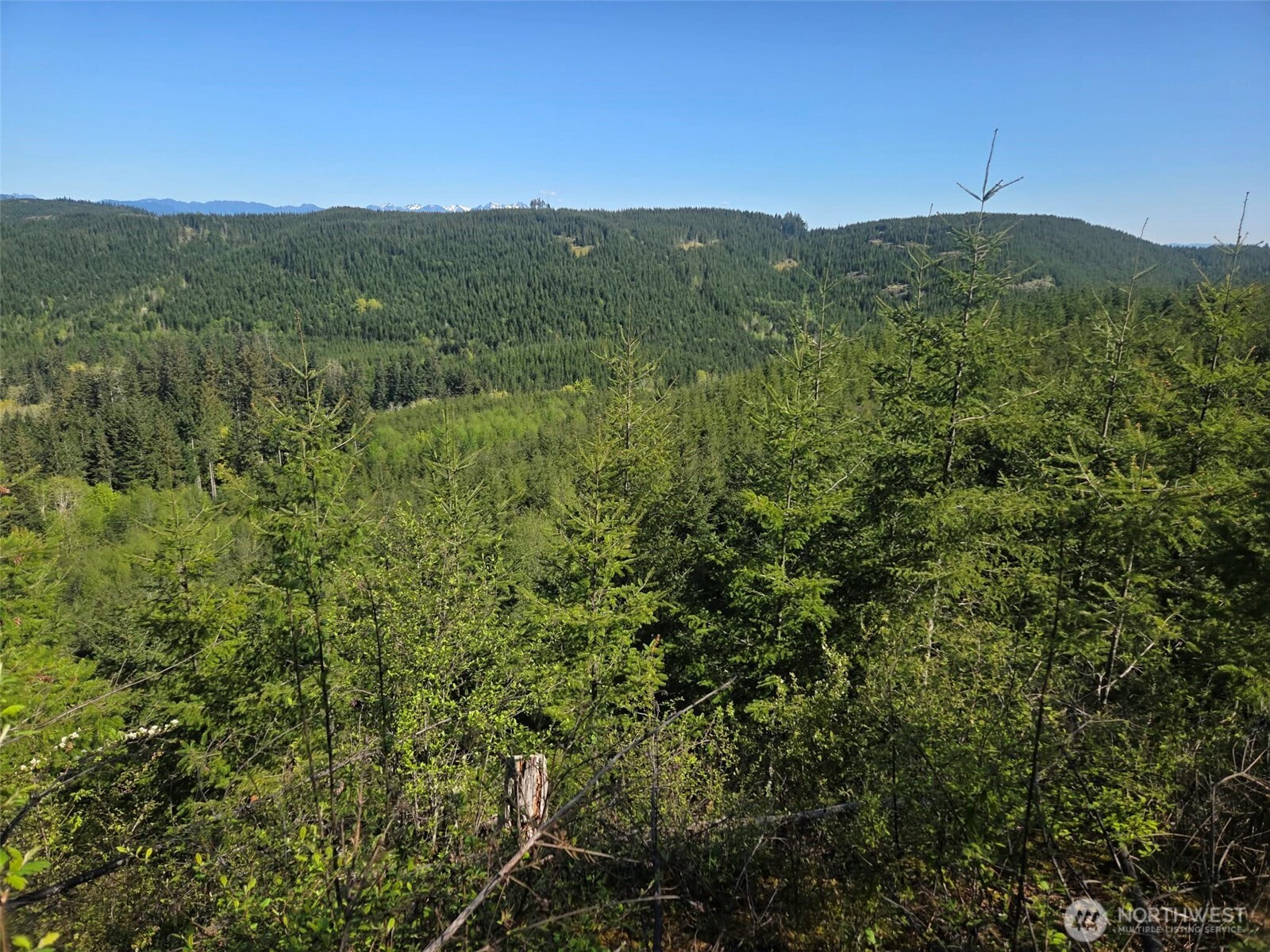 7241 W Cloquallum Road Shelton WA 98584