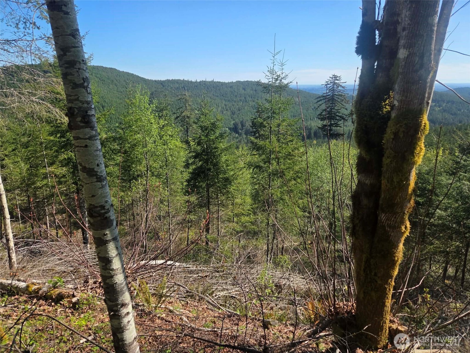 7241 W Cloquallum Road Shelton WA 98584