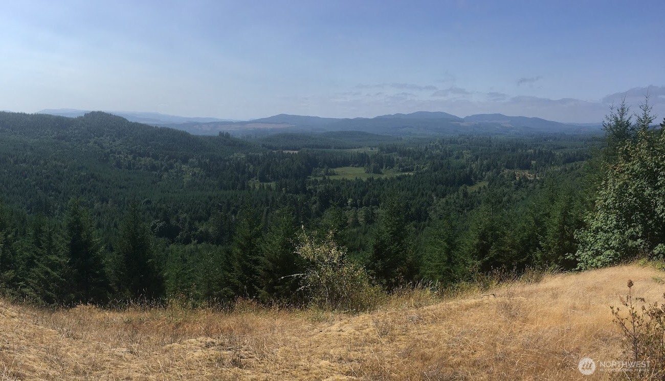 7241 W Cloquallum Road Shelton WA 98584