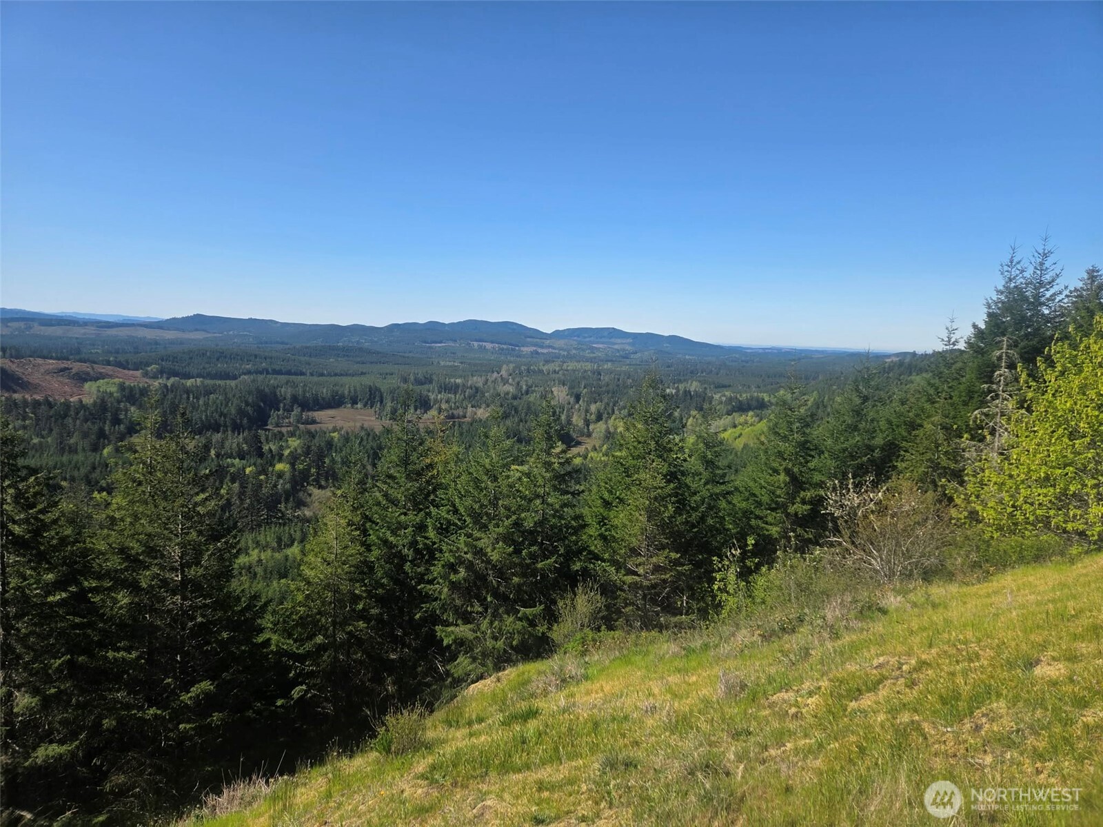 7241 W Cloquallum Road Shelton WA 98584