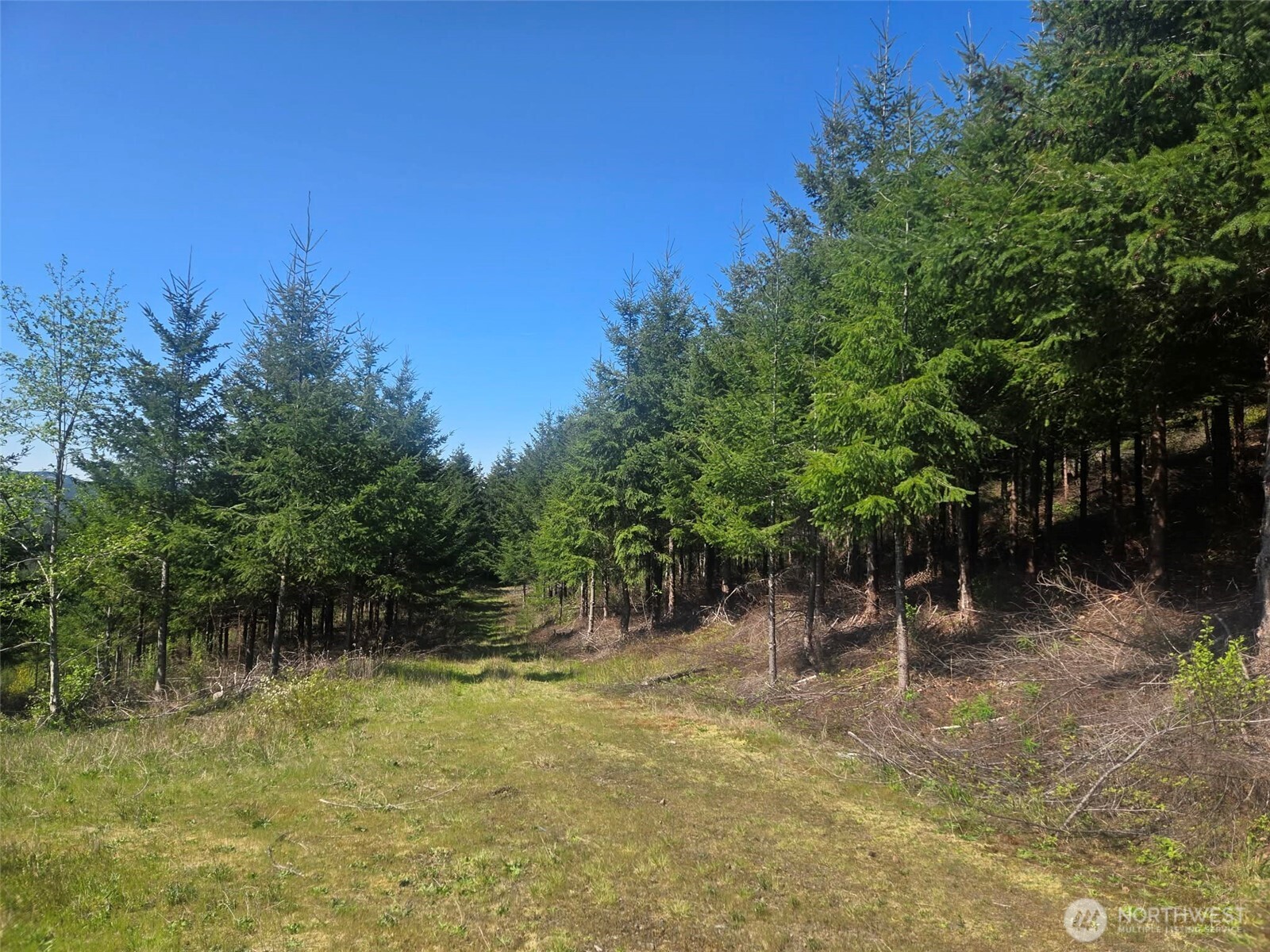 7241 W Cloquallum Road Shelton WA 98584