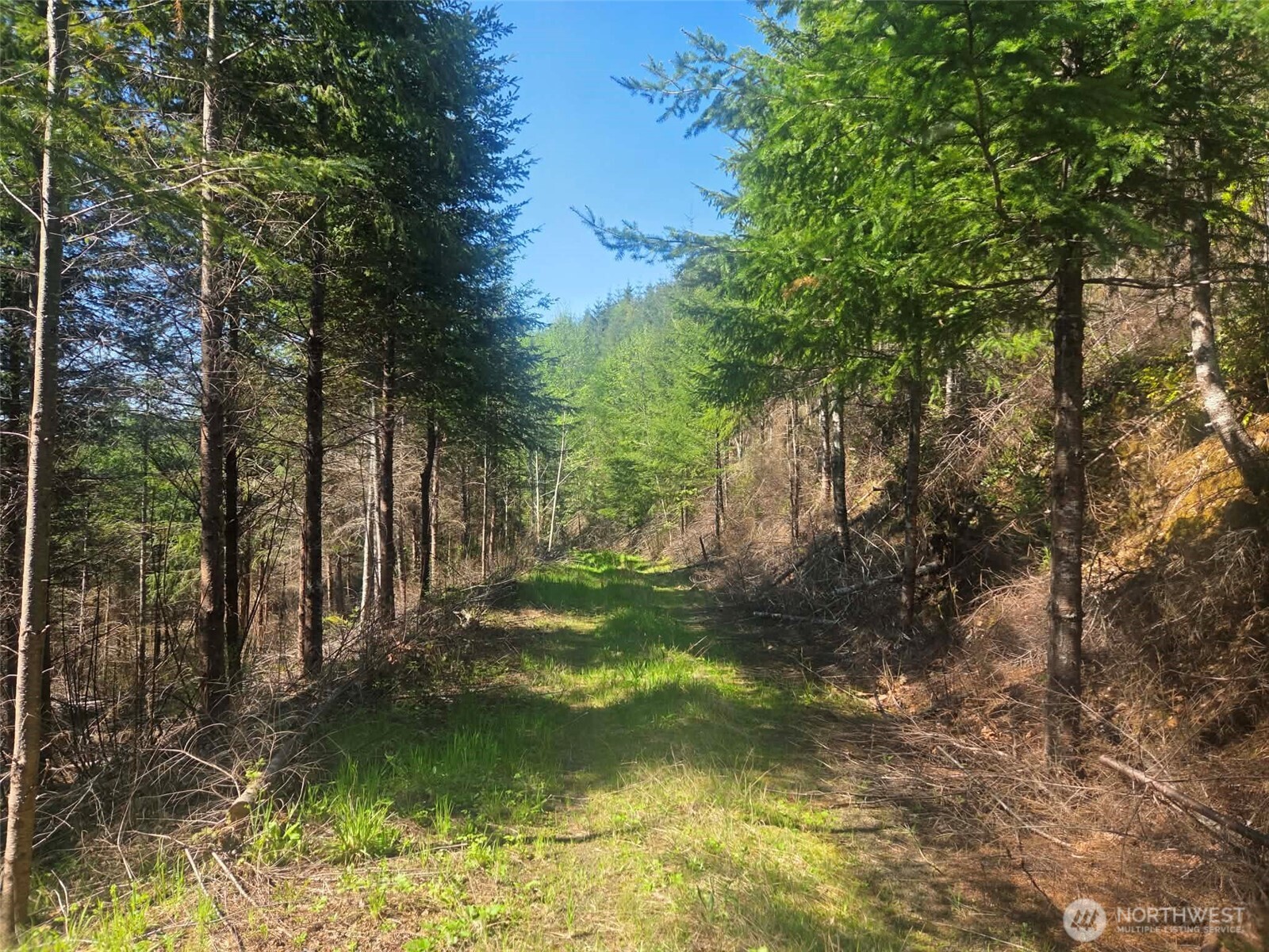 7241 W Cloquallum Road Shelton WA 98584