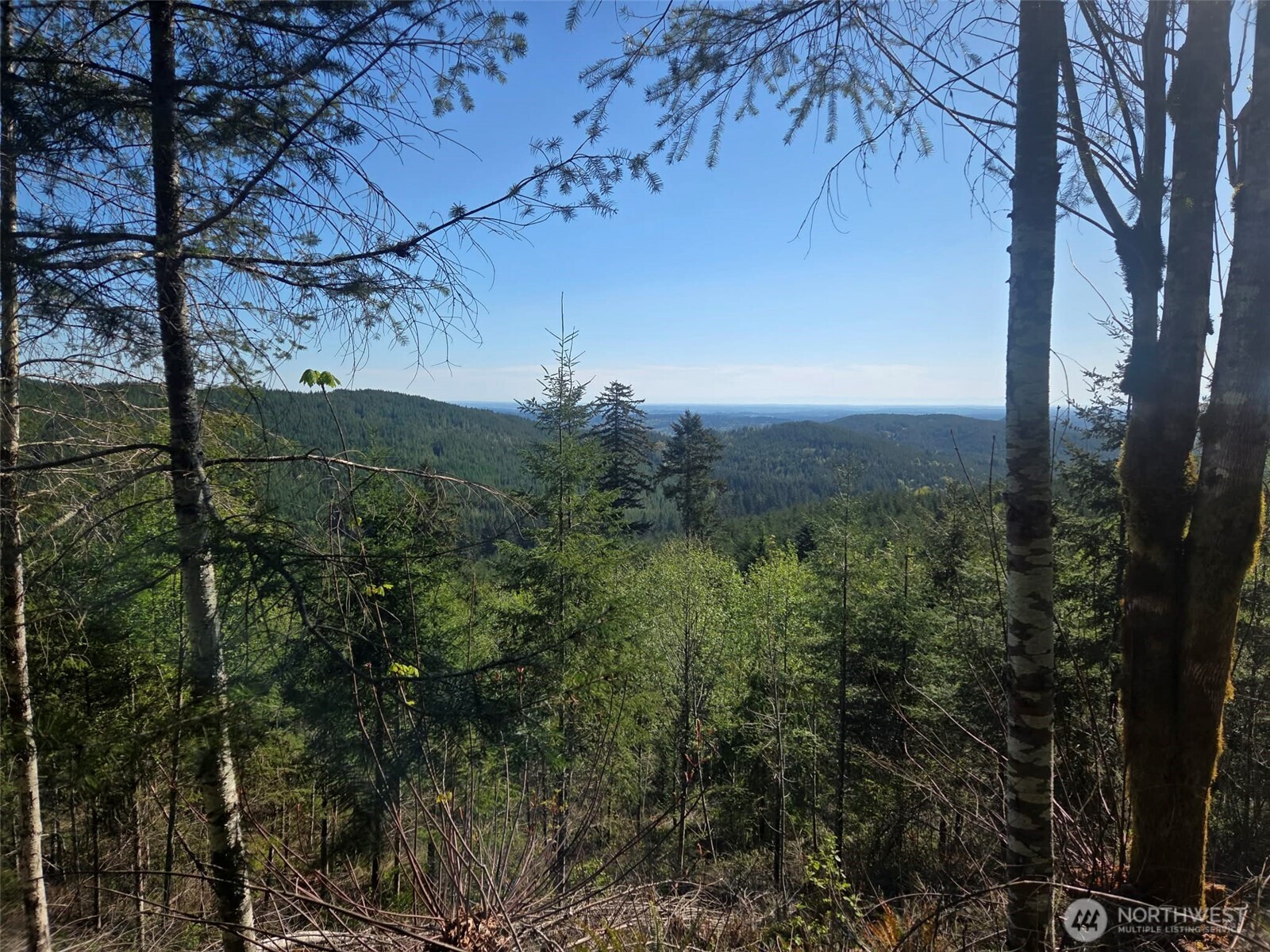 7241 W Cloquallum Road Shelton WA 98584