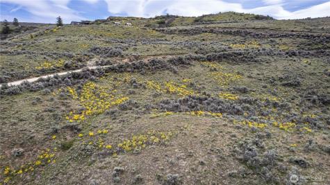 0 Chelan Hills Acres Tract Orondo WA 98843