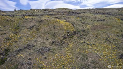 0 Chelan Hills Acres Tract Orondo WA 98843