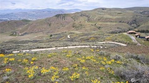 0 Chelan Hills Acres Tract Orondo WA 98843