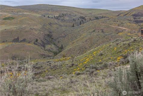 0 Chelan Hills Acres Tract Orondo WA 98843