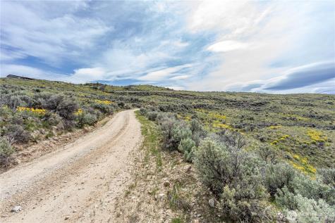 0 Chelan Hills Acres Tract Orondo WA 98843