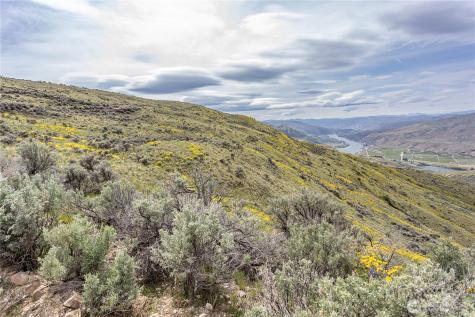 0 Chelan Hills Acres Tract Orondo WA 98843