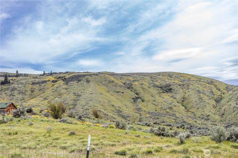 0 Chelan Hills Acres Tract Orondo WA 98843
