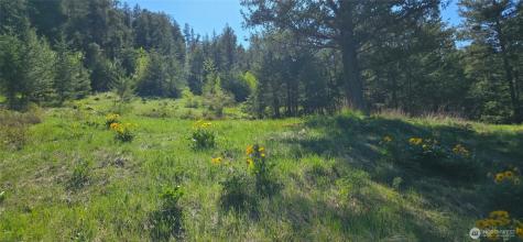 111 Ellemeham Mountain Oroville WA 98844