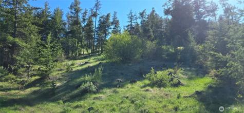 111 Ellemeham Mountain Oroville WA 98844