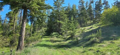 111 Ellemeham Mountain Oroville WA 98844