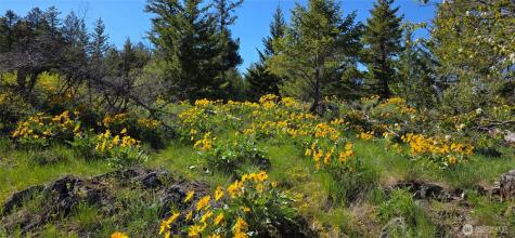 111 Ellemeham Mountain Oroville WA 98844