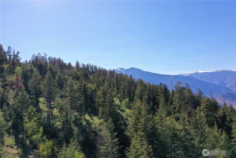 111 Ellemeham Mountain Oroville WA 98844