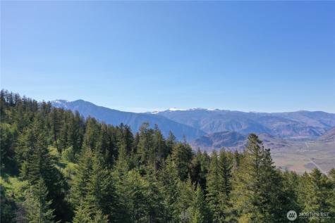 111 Ellemeham Mountain Oroville WA 98844