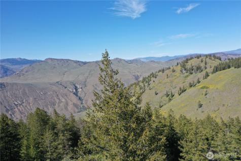 111 Ellemeham Mountain Oroville WA 98844