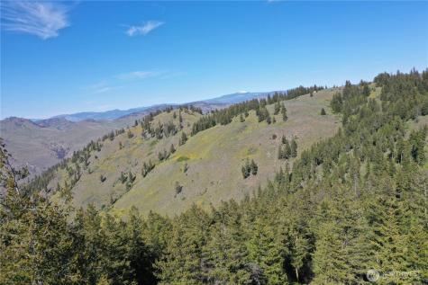 111 Ellemeham Mountain Oroville WA 98844