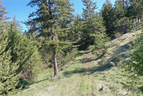 111 Ellemeham Mountain Oroville WA 98844