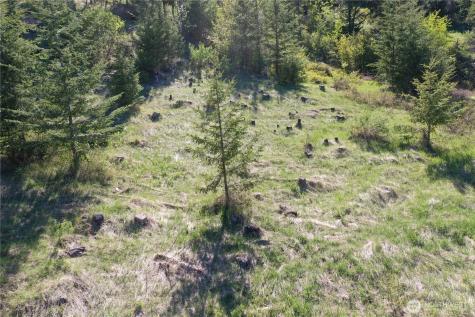 111 Ellemeham Mountain Oroville WA 98844