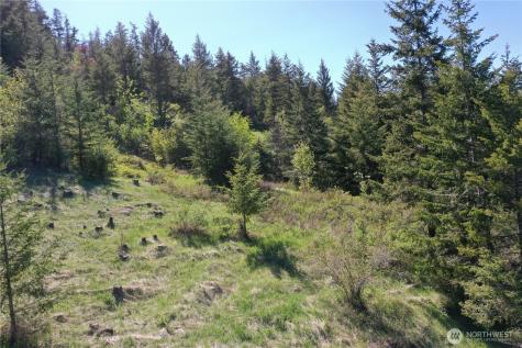 111 Ellemeham Mountain Oroville WA 98844