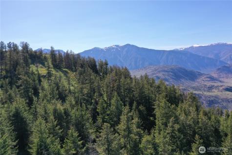 111 Ellemeham Mountain Oroville WA 98844