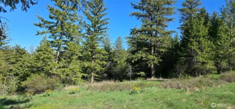 111 Ellemeham Mountain Oroville WA 98844