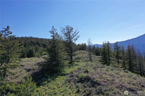 111 Ellemeham Mountain Oroville WA 98844