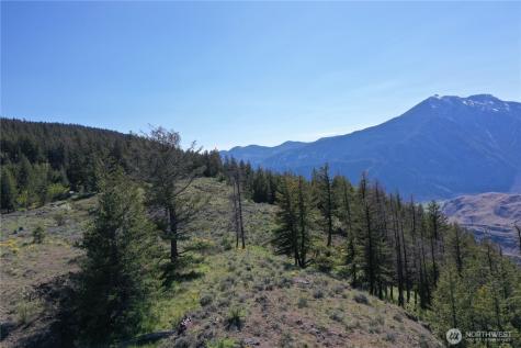 111 Ellemeham Mountain Oroville WA 98844