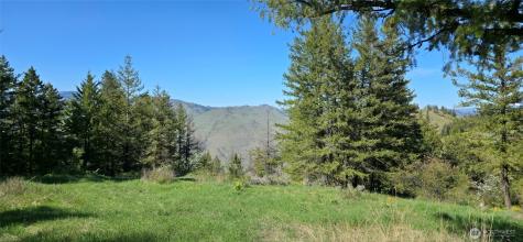 111 Ellemeham Mountain Oroville WA 98844