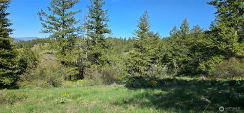 111 Ellemeham Mountain Oroville WA 98844