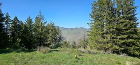 111 Ellemeham Mountain Oroville WA 98844