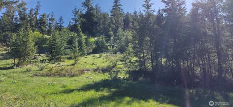 111 Ellemeham Mountain Oroville WA 98844