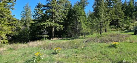 111 Ellemeham Mountain Oroville WA 98844