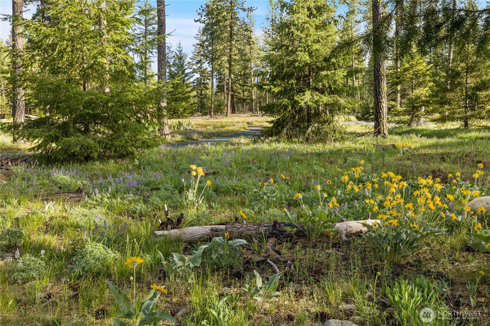114 Wanawish Loop Cle Elum WA 98922