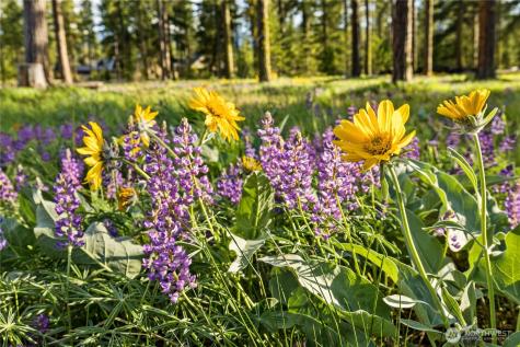 114 Wanawish Loop Cle Elum WA 98922