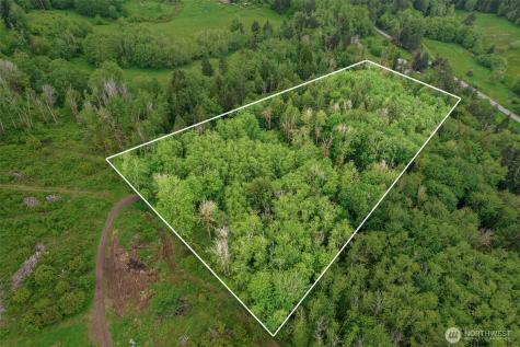0 X Salmon Creek Road Mossyrock WA 98564