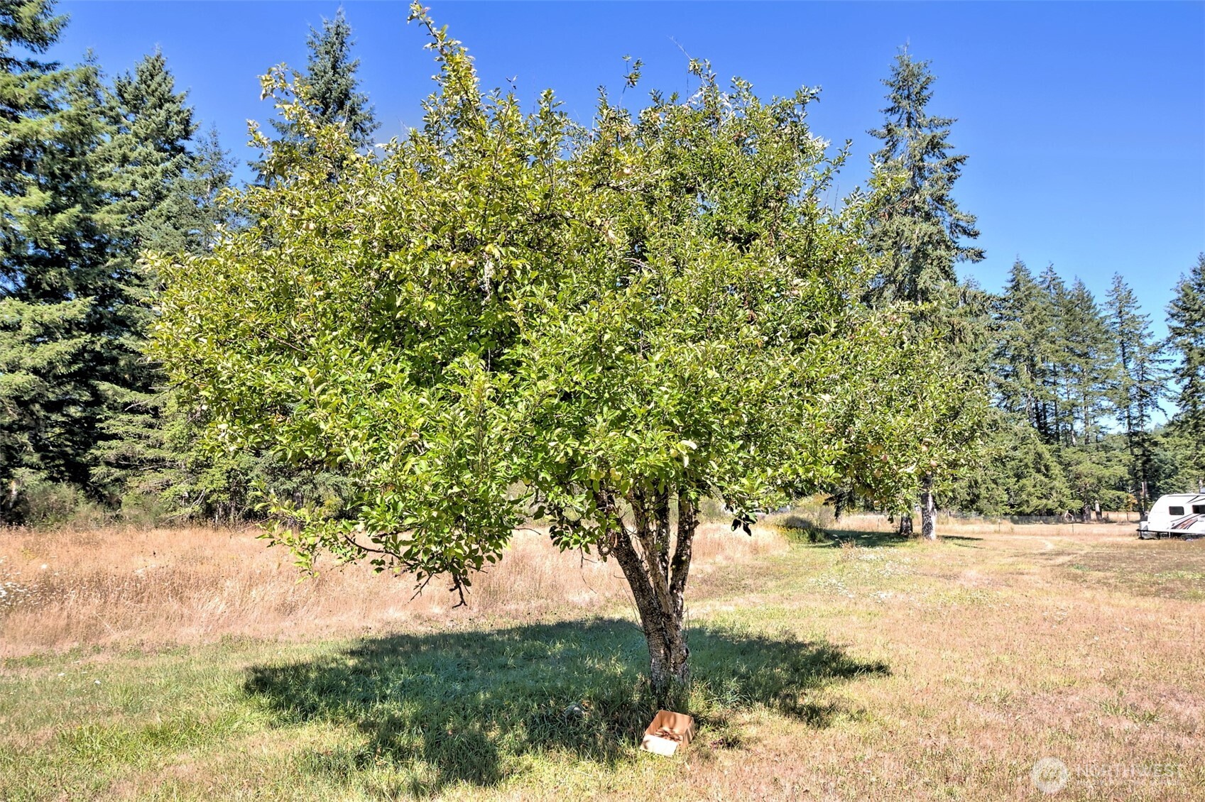 1982 W Ford Loop Road Elma WA 98541