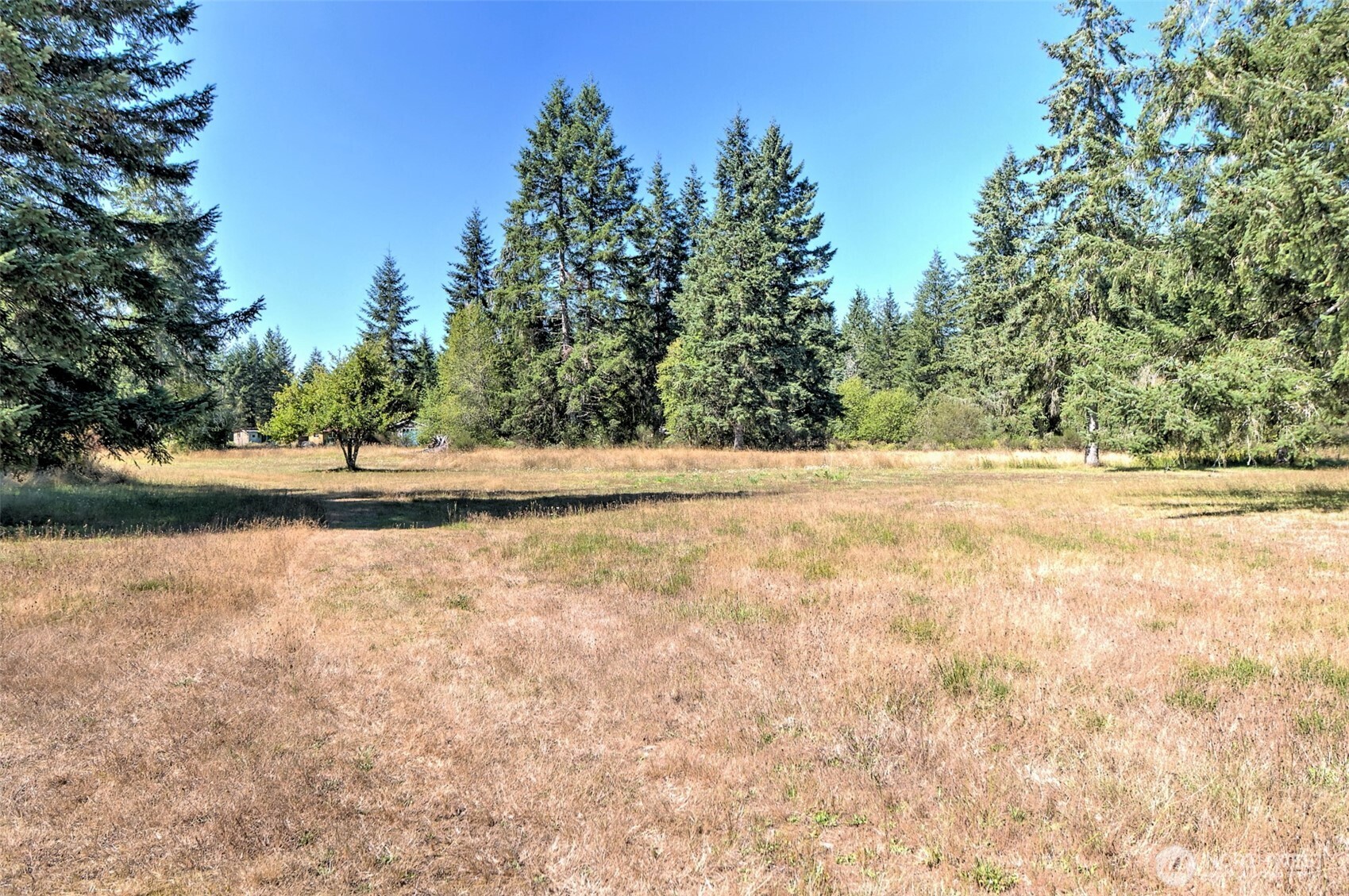 1982 W Ford Loop Road Elma WA 98541
