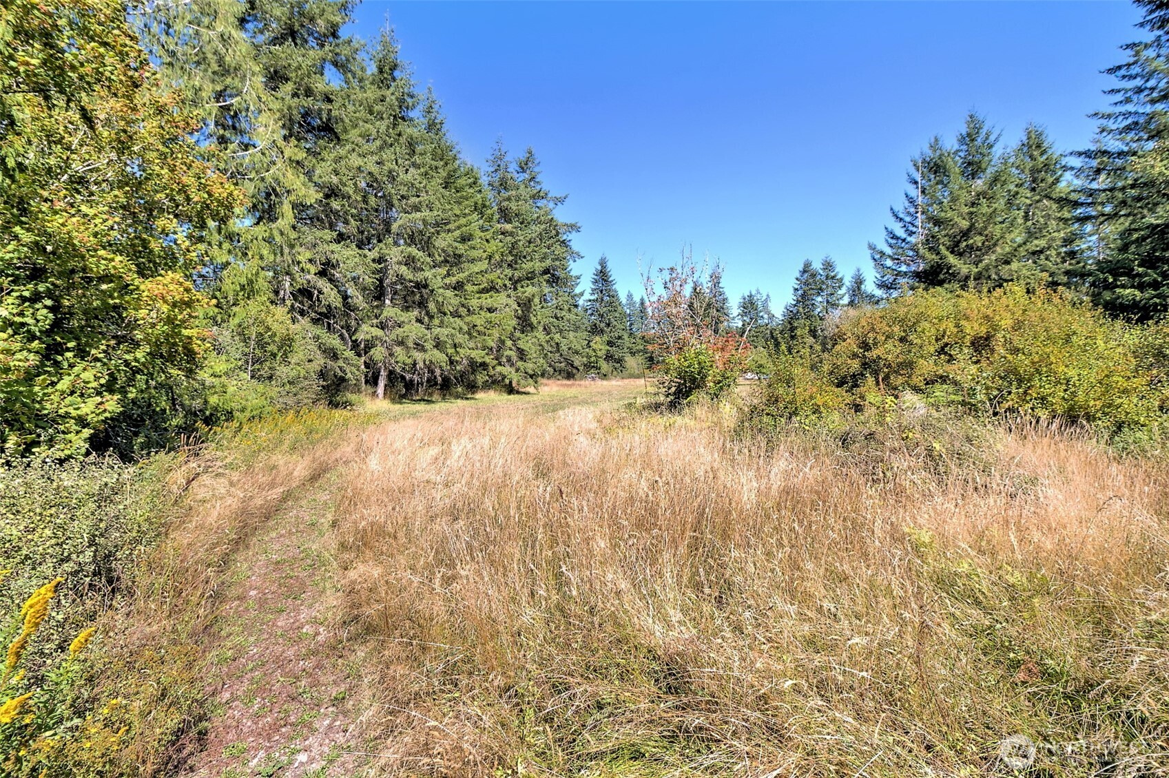1982 W Ford Loop Road Elma WA 98541