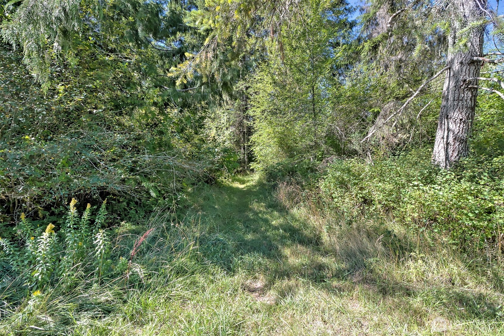 1982 W Ford Loop Road Elma WA 98541