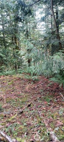 2610 E 39th Terrace Bellingham WA 98266
