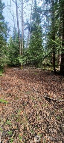 2610 E 39th Terrace Bellingham WA 98266
