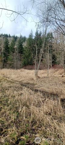 2610 E 39th Terrace Bellingham WA 98266