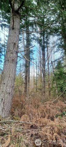2610 E 39th Terrace Bellingham WA 98266
