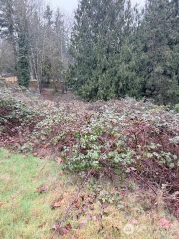 14708 SE 145th Place Renton WA 98059