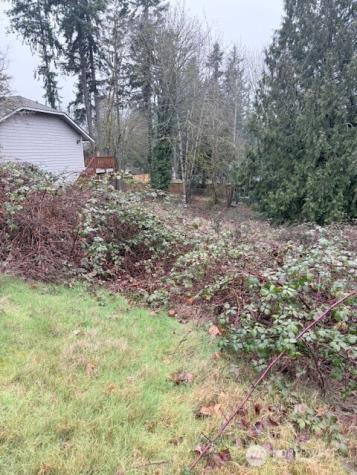 14708 SE 145th Place Renton WA 98059