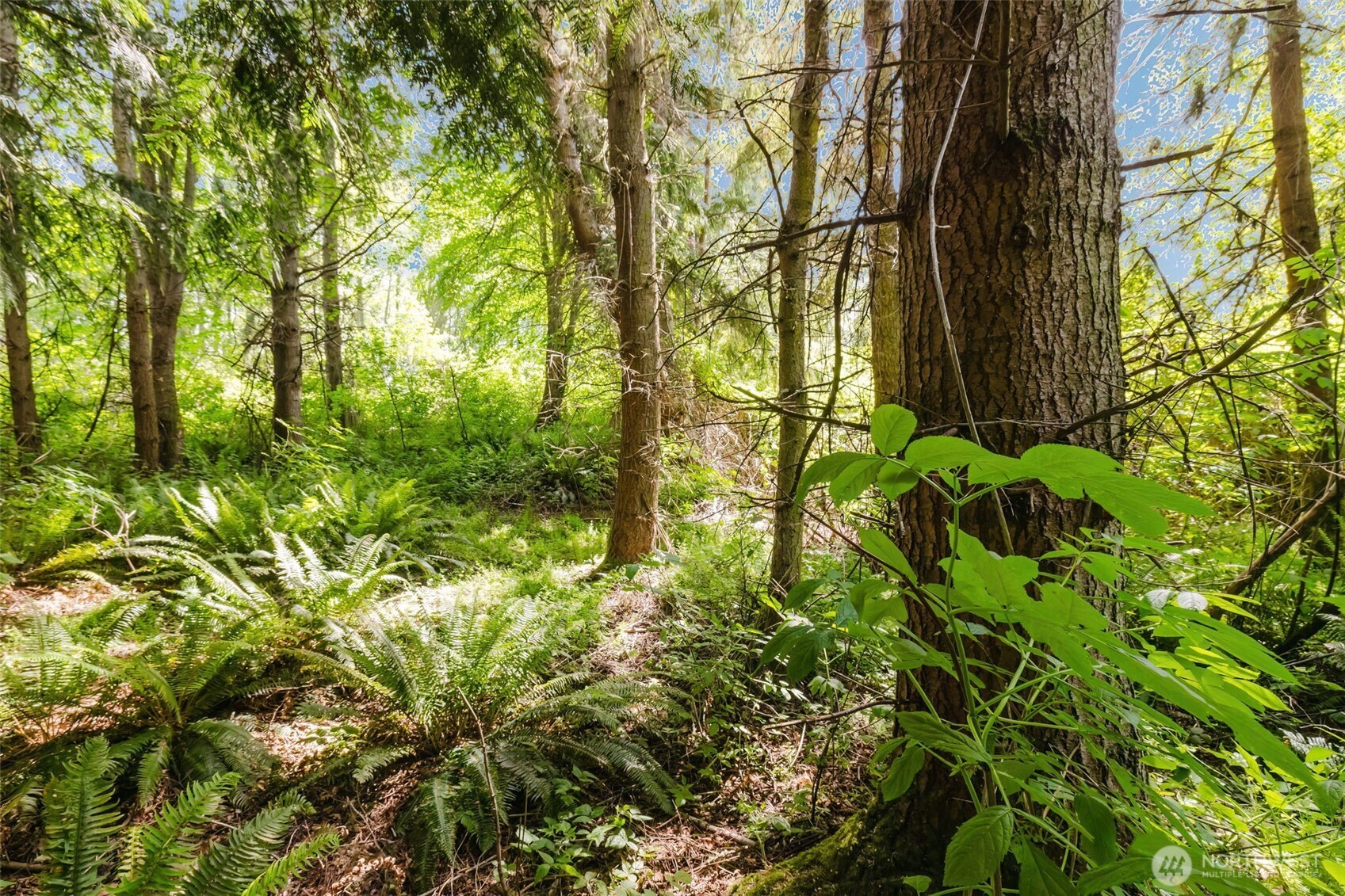 38742 Tinker Place NE Hansville WA 98340